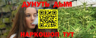 крисы Северобайкальск