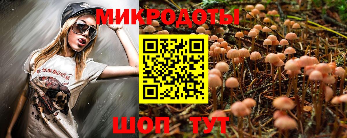 что такое   Псилоцибиновые грибы Cubensis  Вход с VPN  Ноябрьск 